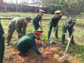 Tuổi trẻ Bộ chỉ huy Quân sự tỉnh hưởng ứng “Tết trồng cây đời đời nhớ ơn Bác”
