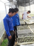 Phú Ninh: tổ chức chương trình “Hành trình khởi nghiệp”  