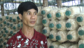 Khởi nghiệp: Thanh niên bén duyên với nghề trồng nấm