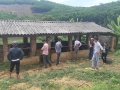 Tiên Phước tổ chức tập huấn chuyển giao khoa học kỹ thuật về bò lai BBB