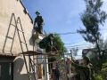 Cán bộ, chiến sỹ Đồn Biên phòng Bình Minh giúp dân sửa chữa nhà cửa sau bão