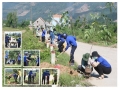 Tuổi trẻ Hiệp Đức trồng gần 300 cây osaka tặng xã nông thôn mới
